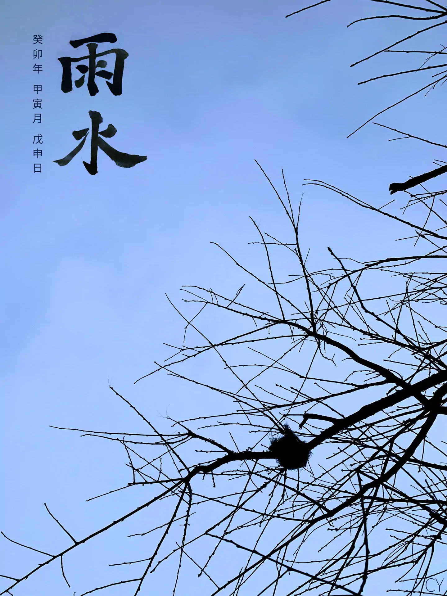 2023 雨水 - 雏润枝翘 二十四节气
