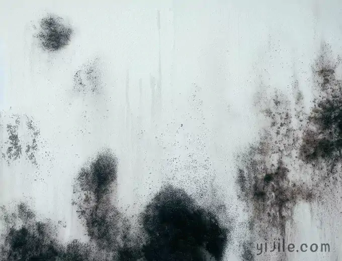 卧室墙壁上发霉起霉斑对身体健康有影响吗？