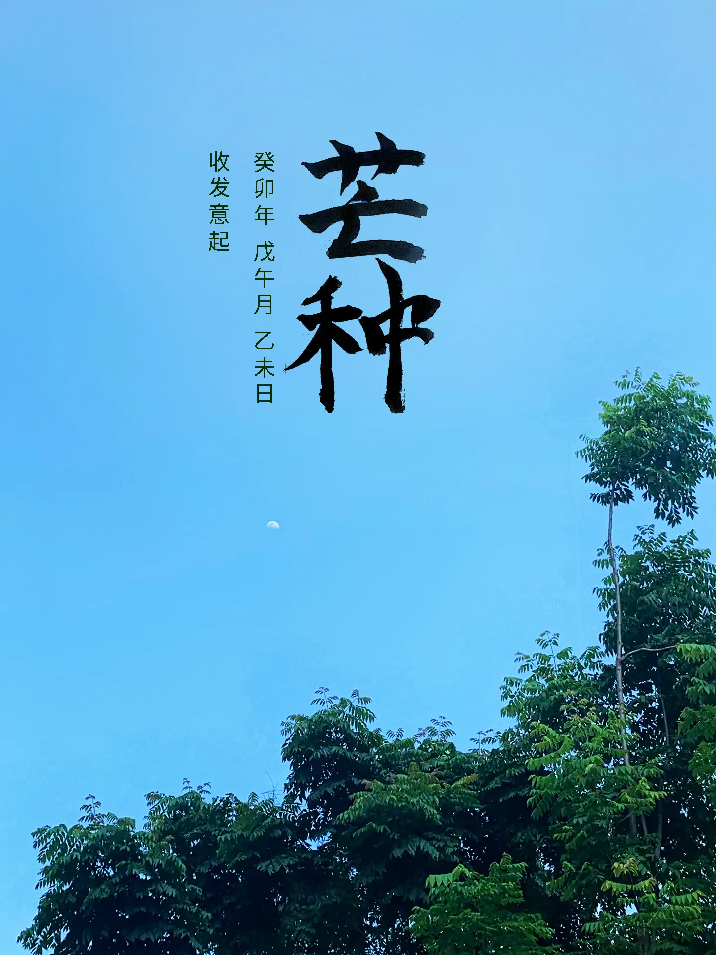 2023 芒种 - 收发意起 二十四节气