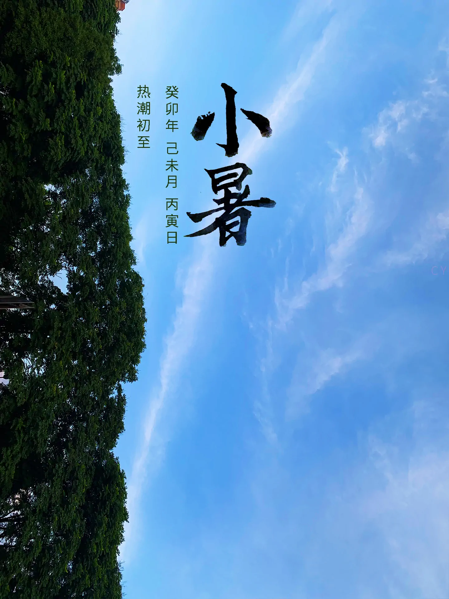 2023 小暑 - 热潮初至 二十四节气