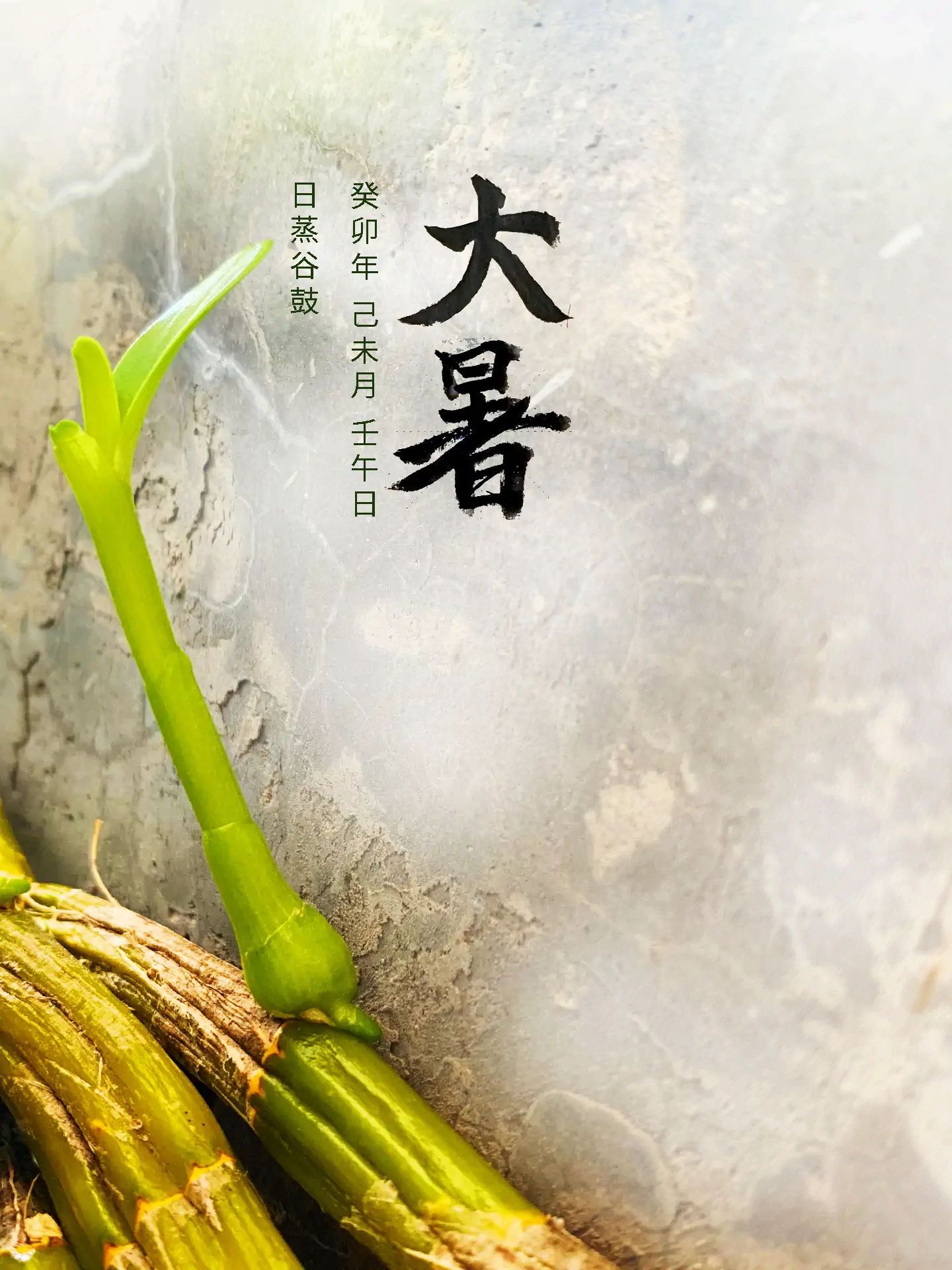 2023 大暑 - 日蒸谷鼓 二十四节气