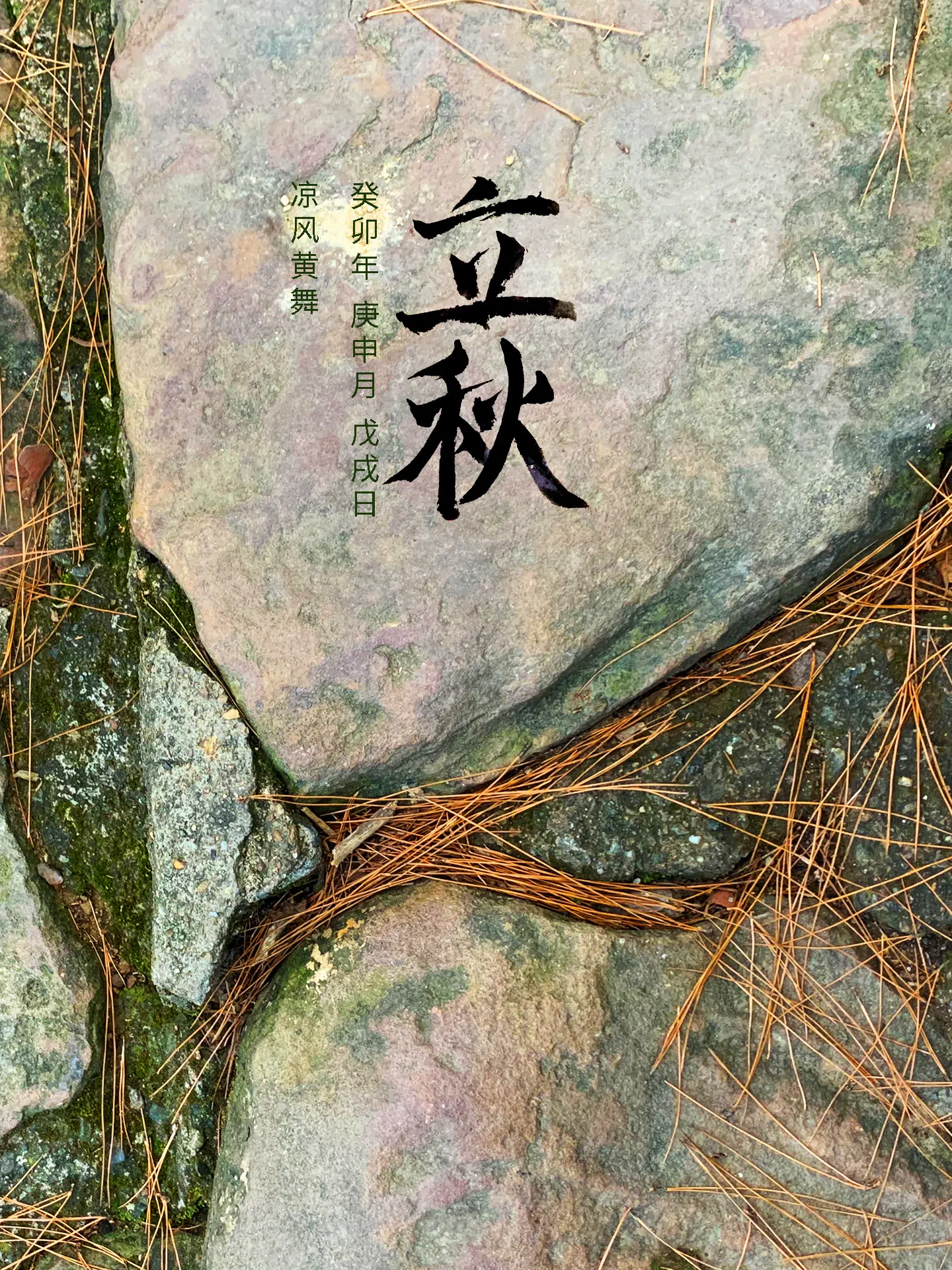 2023 立秋 - 凉风叶舞 二十四节气