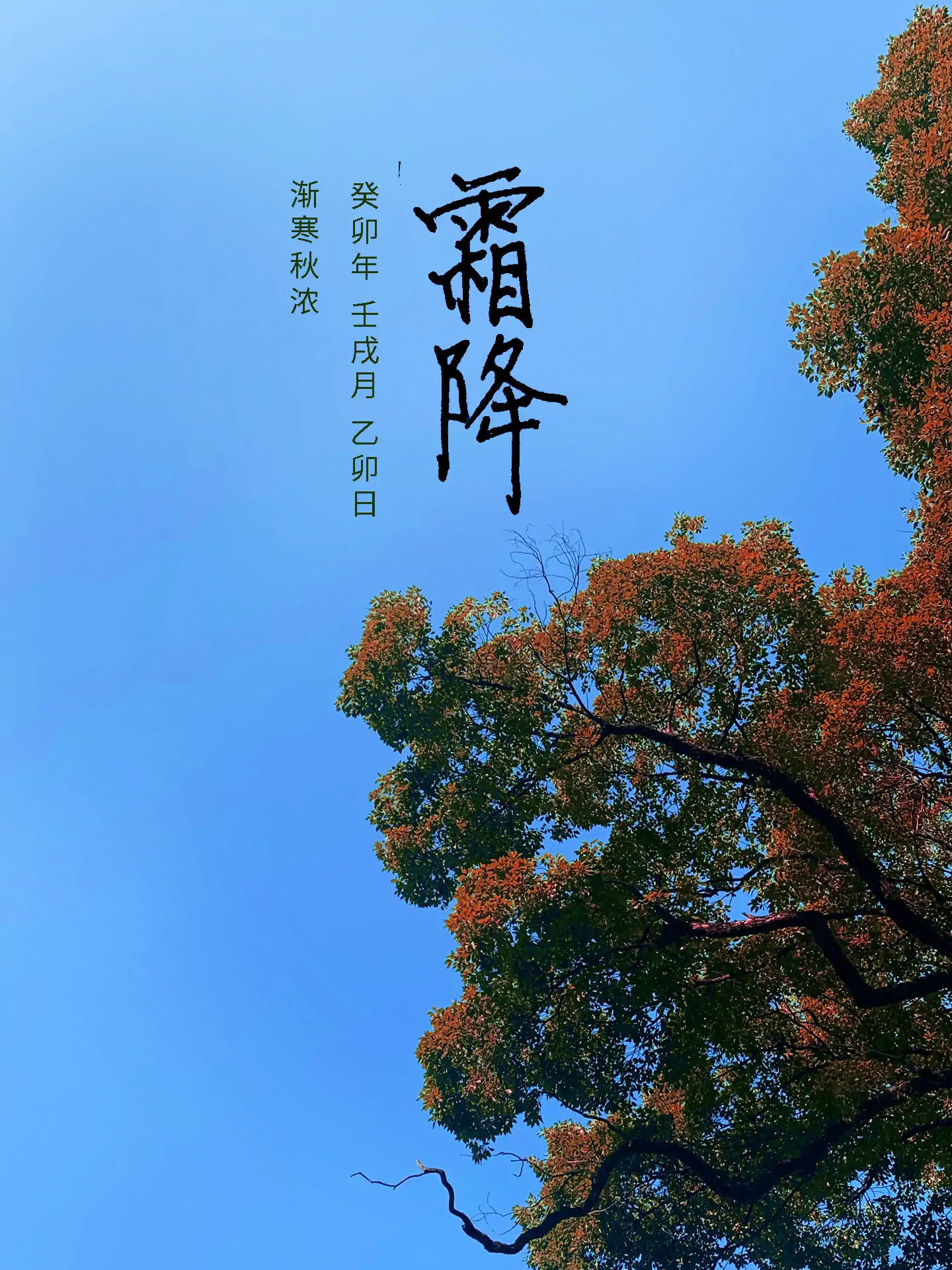 2023 霜降 - 渐寒秋浓 二十四节气